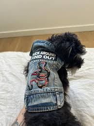 You Need To See This Brookemarkhaa Video! - Truth or Fiction