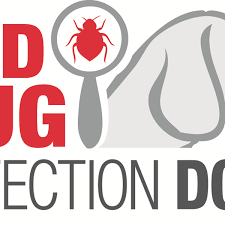 At viking we pride ourselves on our friendly, safe, efficient services. Viking Pest Control