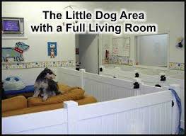 We did not find results for: Critter Boarding Spring Hill Dog Kennels Doggy Day Care Near Me