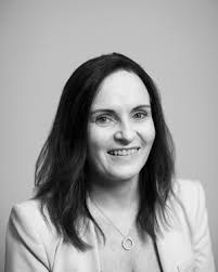 IDI Board and Council