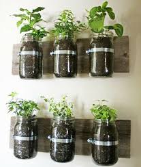 Krauter Garten Ideen Fur Herrliche Feng Shui Kuche Krautergartenbalkon With Images Mason Jar Herb Garden Mason Jar Herbs Hanging Herb Garden