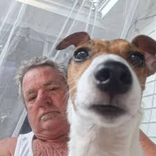 Volunteer programs for medical professionals in Puerto Morelos?