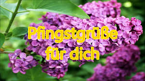 Bilder und sprüche mit schönen pfingsgrüßen für nette menschen und verwandte. M Wjp Zyrmzbdm