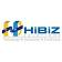 Hibiz Solutions logo