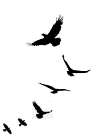 Birds Lyrics Imagine Dragons Meaning 6 Birds Tatuajes De Pajaros Volando Tatuajes Chiquitos Tatuajes A Juego Para Parejas