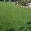 The best artificial grass is very simple to clean, made of high quality materials, chemical free, pollutants free, environmental friendly, and appealing to your eyes. Https Encrypted Tbn0 Gstatic Com Images Q Tbn And9gcqoxwm1rzcds Ak7vbrz8sn4w2srpyap32 Nsogdzdytvgmbw6s Usqp Cau