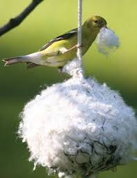 Nesting Ball For Goldfinches Of Soft Cottons Hair Milkweed Thistle Or Cattail Fluff Con Imagenes Comederos Para Pajaros Jaulas De Pajaros Casitas De Pajaros