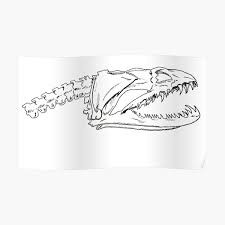 The Moray Eels Posters Redbubble It is easy to care for and can be recommended to anyone with a large aquarium. the moray eels posters redbubble