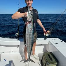 Freddy Collins (@freddycollins79) • Instagram photos and videos