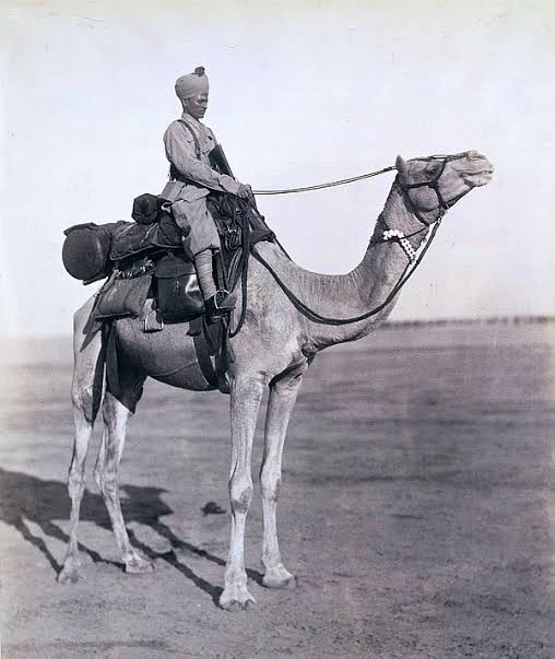 Bikaner Camel Corps of Maharaja Ganga Singh.