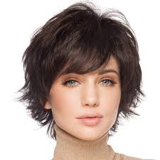 Buy hair wigs for asian women human hair Online in INDIA at Low Prices at  desertcart