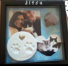 Pin By Annabelle Wilson On Pet Memorial Cat Shadow Pet Memorials Cat Paw Print