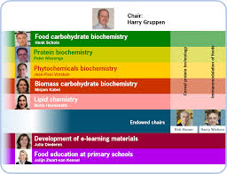 Food chemistry has an open access mirror food chemistry: Themes Of The Laboratory Of Food Chemistry Wur