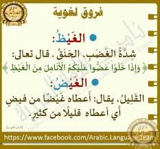 ما الفرق بين الغيض والغيظ Beautiful Arabic Words Arabic Langauge Learn Arabic Language