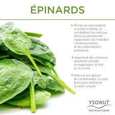Que Contiennent Les Epinards Nutrition Sante Aliments Bons Pour La Sante Alimentation Et Sante Nutrition