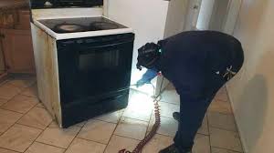 Roaches in the kitchen can live off grease and food spills beneath and behind your appliances. Pests We Treat Heavy Cockroach Infestation In Asbury Park Nj