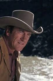 Give me a movie or show other than Gunsmoke James Arness stared in