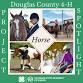 Douglas County 4-H Equestrian Yoga