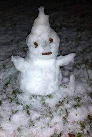 Check spelling or type a new query. Bonecos De Neve Brasileiros Viralizam E Viram Meme