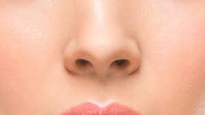 There are lots of amazing human nose facts which you may not be aware of. Stop Plucking Nose Hairs Dr Oz Weighs In On Health Habits