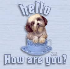 Image result for HELLO HOW ARE YOU IMAGES