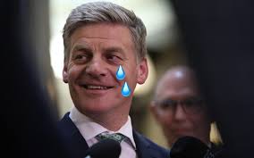 Nikki Kaye won't be National's next leader, but should she be?