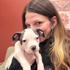 Recommendation for trustworthy puppy adoption