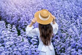 Maybe you would like to learn more about one of these? Free Photo Beautiful Girl In White Dress Walking In Margaret Flowers Fields Chiang Mai In Thailand