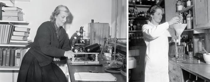 Politics: When Hodgkin met Thatcher | Nature