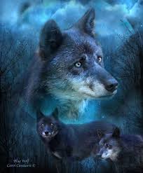 Check spelling or type a new query. Pin By Nel Krouwel On Furry Ones Blue Wolf Wolf Art Print Wolf Art