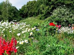 Geerntet, was sich selbst gesät hat kleine wunder im #ökogarten pic.twitter.com/3cr9rdulu2. Garten Der Vielfalt Padagogische Hochschule Heidelberg
