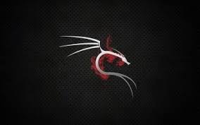 Das blumenkranz ausmalbild aus der kategorie blumen bringt viel spaß — drucken sie die window color. Kali Linux Fond Ecran Hacker Ubuntu Dragon Wallpapers Wallpaper Cave The Metasploit Framework Console Has Many Payloads And Many Exploit Method Terpaa