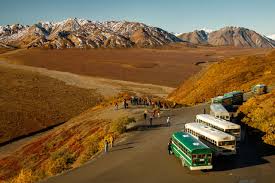 Learn more about the shuttle serves offered at denali national park & preserve in alaska. Bus Tour Of Denali National Park In One Day