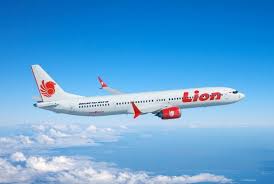 Beli produk pesawat lion air berkualitas dengan harga murah dari berbagai pelapak di indonesia. Menelusuri Investor Cina Pemilik Pesawat Lion Air Republika Online