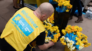 We sell online, retail and wholesale. Daffodil Day 2019 Cancer Council Queensland Volunteers Needed The Courier Mail