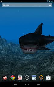 We've gathered more than 5 million images uploaded by our users and sorted them by the most popular ones. Free Shark Attack 3d Live Wallpaper Apk Download For Android Getjar