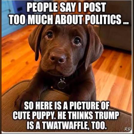 [Image: images?q=tbn:ANd9GcROg3lmCJiI4X3LTkWIoLZ...qZovc&s=10]