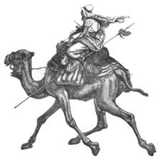 Camel's nose in the tent (4). Interesting Things The Amazing Camel And It S Creator Lee S Birdwatching Adventures Plus
