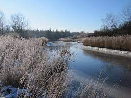 With about 6000 hectares, the 'rostocker heide' is the largest german coastal forest. Ausflugsziel Naherholungsgebiet Rostocker Heide Markgrafenheide