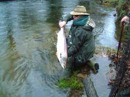 Your best source for ma. Fishing Butterwell Farm Fishery Bodmin Cornwall