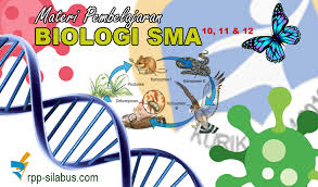 Maybe you would like to learn more about one of these? Materi Pembelajaran Biologi Sma Kelas 10 11 Dan 12 Terbaru