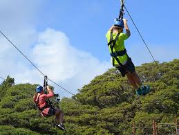 We have a massive amount of hd images that will make your computer or smartphone look. Hd Wallpaper Two Person Zip Lining During Daytime Zipline Hawaii Sun Sport Wallpaper Flare