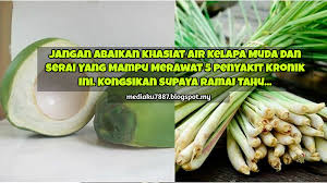 Air kelapa bergizi dan sehat bagi tubuh karena rendah lemak dan kalori, sehingga mencegah anda dari kelebihan berat badan. Jangan Abaikan Khasiat Air Kelapa Muda Dan Serai Yang Mampu Merawat 5 Penyakit Kronik Ini Kongsikan Supaya Ramai Tahu Semoga Bermanfaat Mediaku