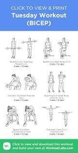 We did not find results for: Tuesday Workout Bicep Click To View And Print This Illustrated Exercise Plan Created With Tuesday Workout Planet Fitness Workout Bicep And Tricep Workout