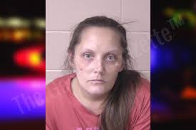 Alexis Goff — Walker County Jail Bookings