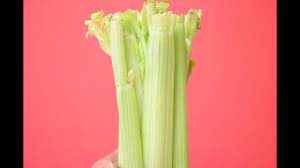 How To Keep Celery Fresh For 3 Months Youtube