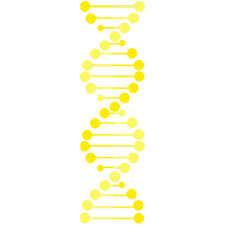 Microbiome Standards Zymo Research Yellow blue dna molecule stock illustration.