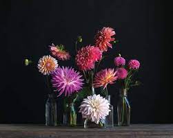Dahlia Arrangement Recipe Flower Arrangements Beautiful Flowers Peony Arrangement