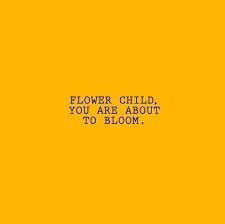 Flower Child You Are About To Bloom Quote Aesthetic Flower Quotes Words