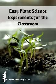 Easy Plant Science Experiments For The Classroom Project